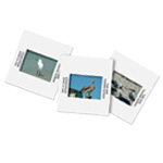 Slide Scanning