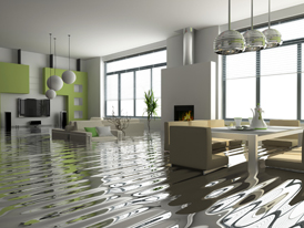 houseFloodSmall (1)